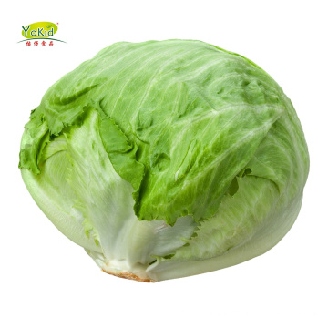 Wholesale Good Product Green Fresh Brands Iceberg Lettuce